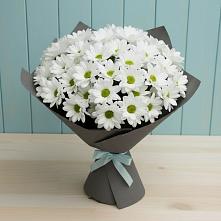 Букет цветов из:  Хризантемы в Утевка