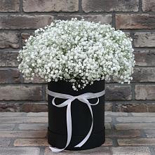 Цветочная композиция из Гипсофила в шляпной коробке в Утевка