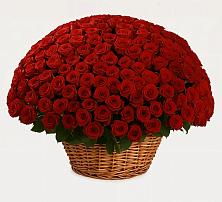 Премиум букет из: Розы в Утевка